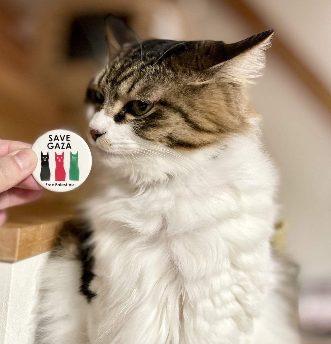 CatsMeowBooks's tweet photo. 小泉さよさん SAVE GAZA 缶バッジの販売を再開しております。UNRWAへの寄付額を少しでも多くするため、今回から個別OPP袋とメッセージカードが省略されておりますので、何卒ご了承ください。
https://t.co/gVMSdEYr2F

#StopGenocide 
#StopGazaGencide
#FreeGaza 
#FreePalestine
#CeasefireNOW https://t.co/N2TXrK7Ben