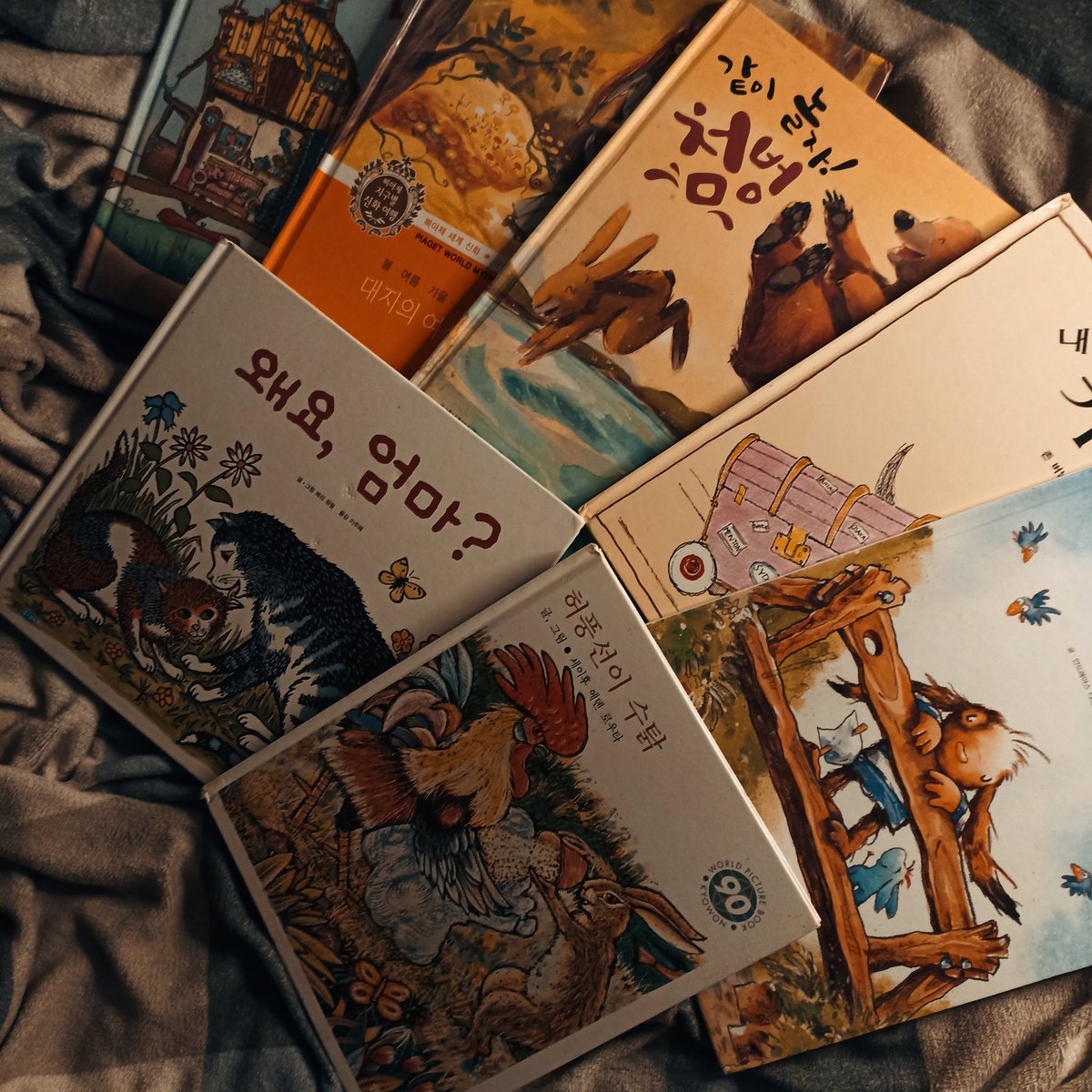 𝗟𝗜𝗟𝗜 ୧⍤⃝📚 tweet media