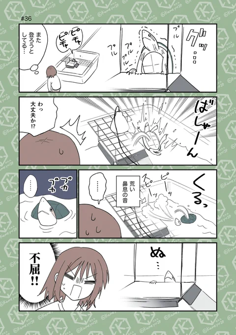 見習いたい心
#4コマ漫画 