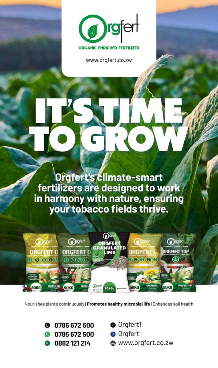 Orgfert1's tweet image. #harvestwithpride
#kohwazvinodadisa