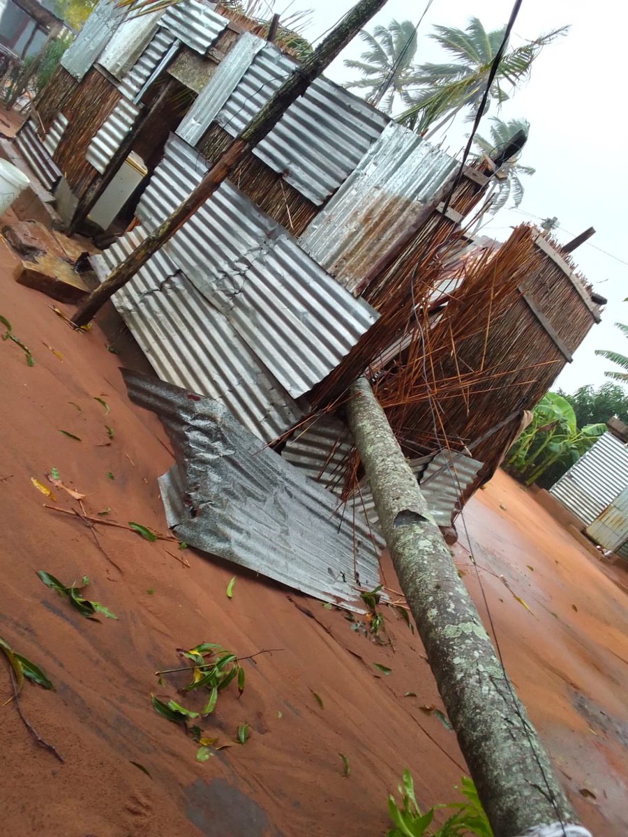 AllexandreMZ's tweet photo. Danos na sequência da actuação da tempestade servera #Filipo em #Inhambane. Em #Vilankulo a passagem na estrada da marginal está condicionada devido a queda de árvores. Pelo menos 525,000 pessoas poderão ser afectadas em Inhambane, Gaza, Maputo e sul de Sofala. #Moçambique https://t.co/qwR8thdl1L