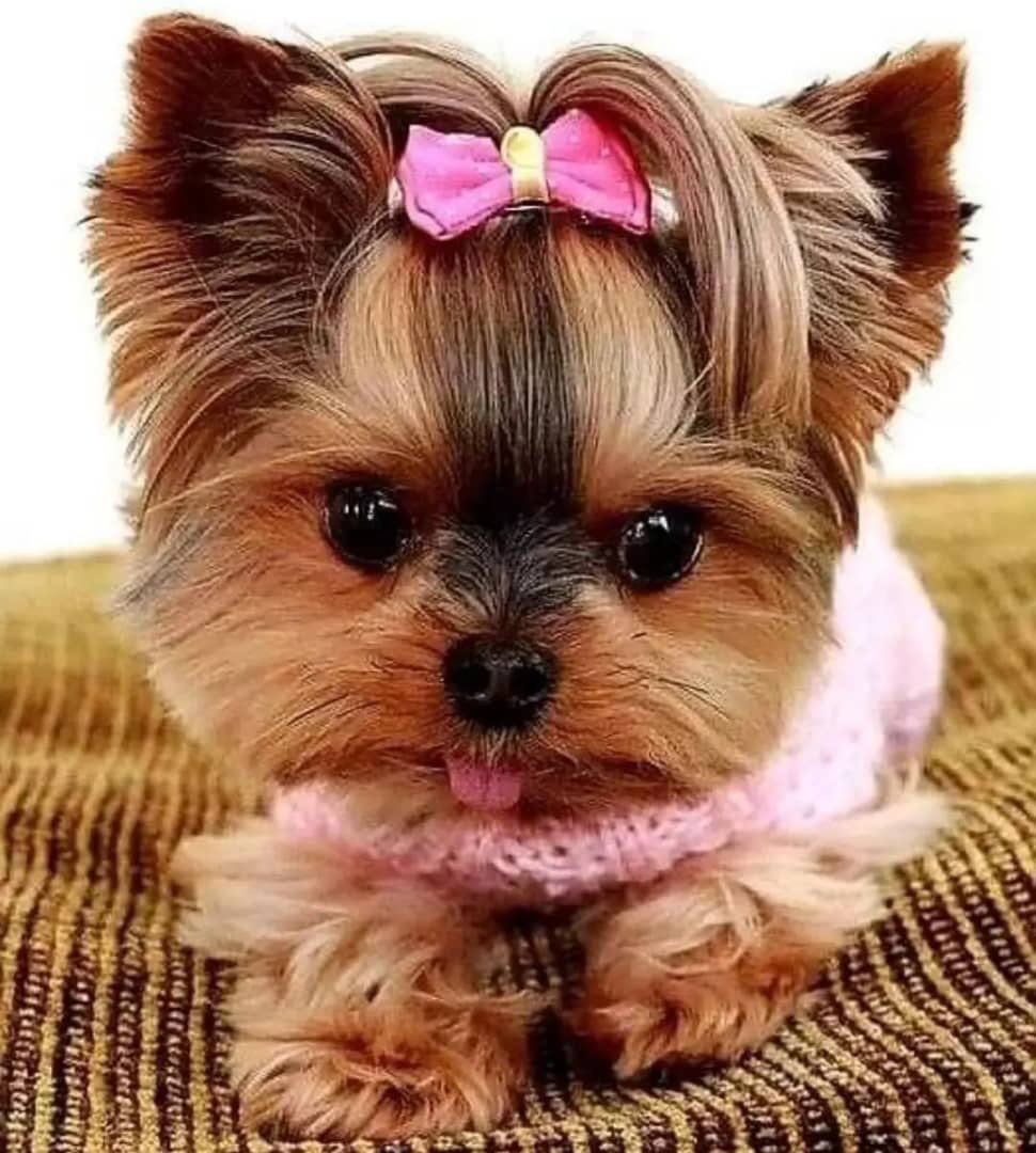 Juicy Nancy tweet media