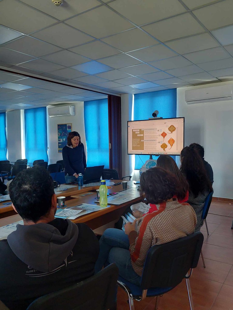Monica Barone from @FAO, presenting identification keys for #Rajidae to the monitoring officers of Department of Fisheries and Marine Research & the Department of Environment, Cyprus, within the workshop organised by iSea & @MER_Lab_CY focused on Shark & Ray proper identification
