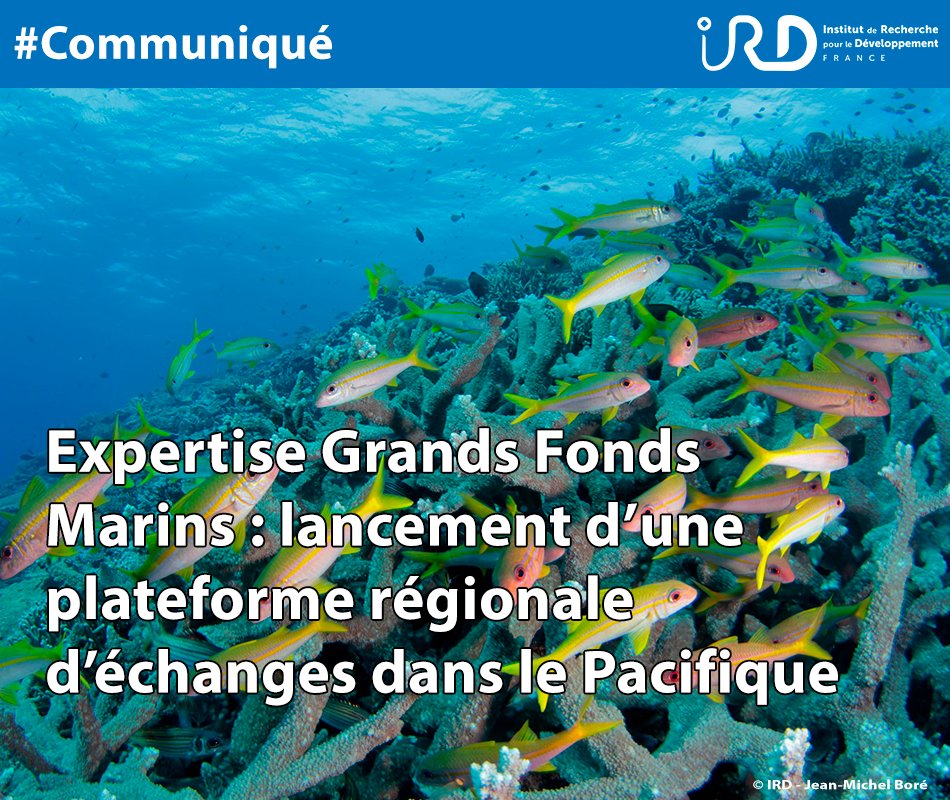 #Communiqué | 👉 @MerGouv a confié à l'IRD la réalisation d’une #expertise collective sur les enjeux des grands fonds marins. Dans ce cadre, l’#IRD organise une plateforme régionale d’échanges sur cette thématique dans le #Pacifique.
🔗ird.fr/expertise-gran… #ODD14 #UNOC3