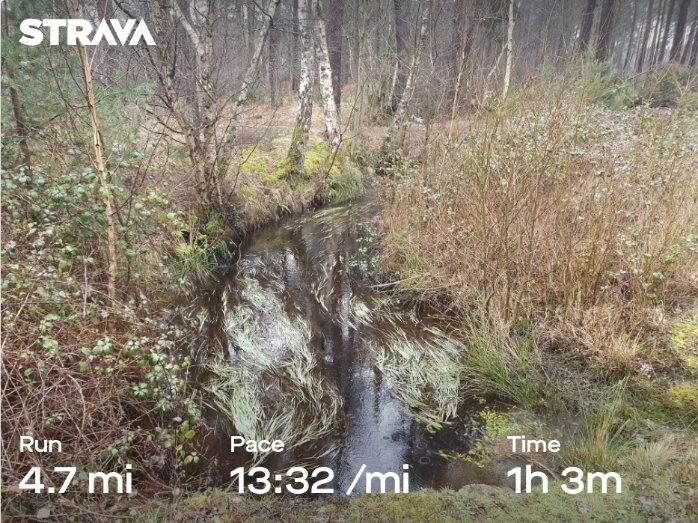 ZhepzyMudRunner's tweet image. Torrential Tuesday,  so wet out today! 🌧 
#TWC #TwittaWinterChallenge #SonicWinterSprinters