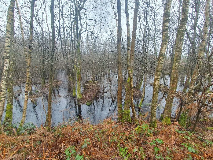 ZhepzyMudRunner's tweet image. Torrential Tuesday,  so wet out today! 🌧 
#TWC #TwittaWinterChallenge #SonicWinterSprinters