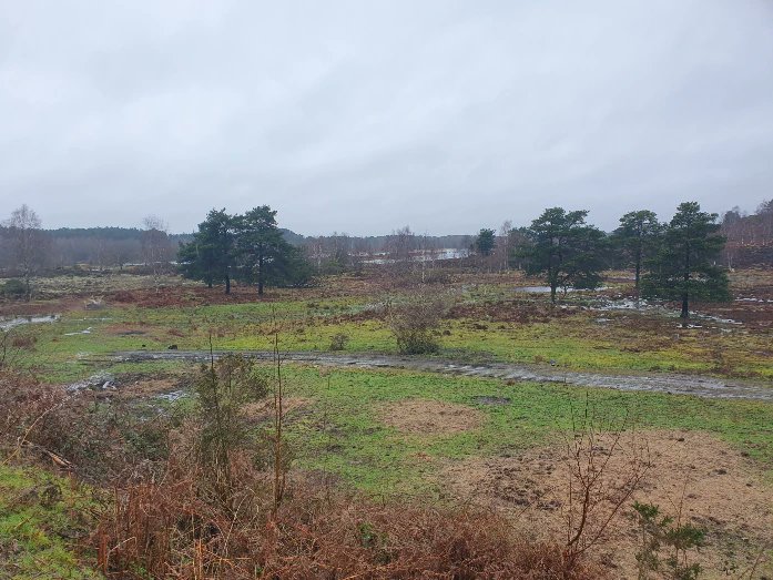 ZhepzyMudRunner's tweet image. Torrential Tuesday,  so wet out today! 🌧 
#TWC #TwittaWinterChallenge #SonicWinterSprinters