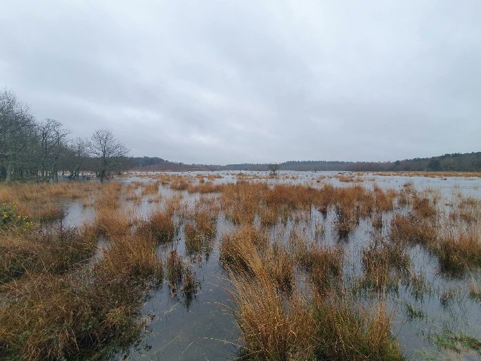 ZhepzyMudRunner's tweet image. Torrential Tuesday,  so wet out today! 🌧 
#TWC #TwittaWinterChallenge #SonicWinterSprinters