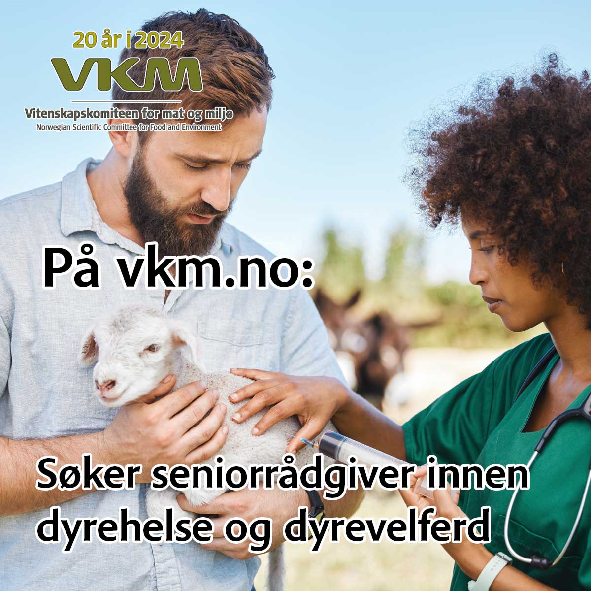 Vitenskapskomiteen (@vkmmatogmiljo) on Twitter photo Vi søker etter ny medarbeider til fast #stilling som seniorrådgiver (prosjektleder/faggruppekoordinator) innen #dyrehelse / dyrevelferd til sekretariatet i VKM. Frist: 20.mars! 945000.webcruiter.no/Main/Recruit/P…
<a href="/vetinst_no/">Veterinærinstituttet</a> <a href="/SINTEF/">SINTEF</a> <a href="/NMBUvets/">NMBU-veterinærene</a> <a href="/UniOslo/">Universitetet i Oslo</a> <a href="/UniStavanger/">Universitetet i Stavanger</a> <a href="/Havforskningen/">Havforskningsinstituttet</a> Vi søker etter ny medarbeider til fast #stilling som seniorrådgiver (prosjektleder/faggruppekoordinator) innen #dyrehelse / dyrevelferd til sekretariatet i VKM. Frist: 20.mars! 945000.webcruiter.no/Main/Recruit/P…
<a href="/vetinst_no/">Veterinærinstituttet</a> <a href="/SINTEF/">SINTEF</a> <a href="/NMBUvets/">NMBU-veterinærene</a> <a href="/UniOslo/">Universitetet i Oslo</a> <a href="/UniStavanger/">Universitetet i Stavanger</a> <a href="/Havforskningen/">Havforskningsinstituttet</a>
