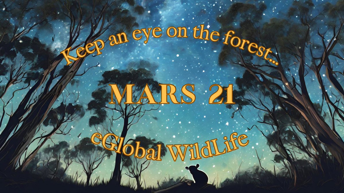 🐨🌏 eGlobalWildLife 🌳🐧 tweet media