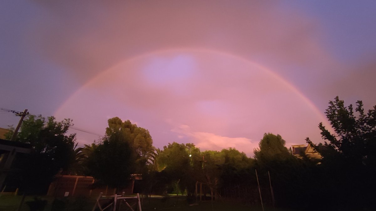 Martín Bustos tweet media