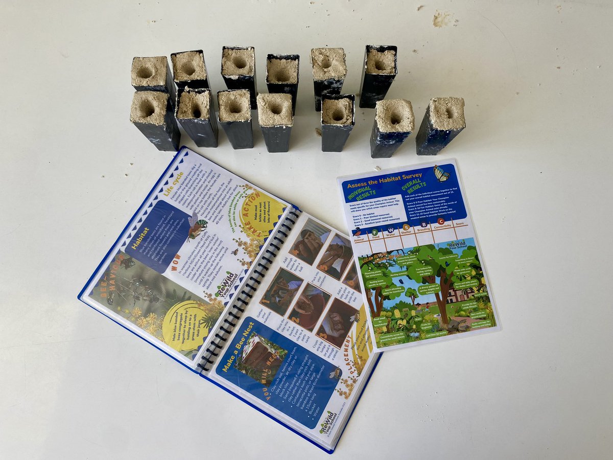 Had a great time last week delivering ecological workshops for year 6 students.  🌱 The microbat tubes and blue-banded bee nests were a big hit! 🦇🐝 #ecology #janegoodallinstituteaustralia