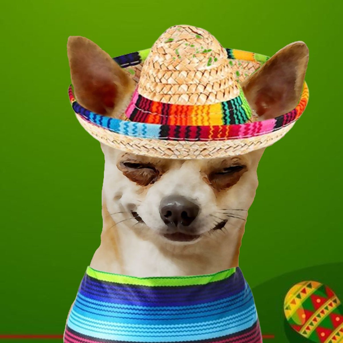 DEV SAID:

"WHEN #SOMBRERO REACHES $5M MARKET CAP I WILL POST A VIDEO OF MYSELF RAILING COCAINE IN MEXICO WEARING A #SOMBRERO 

STICK AROUND.
