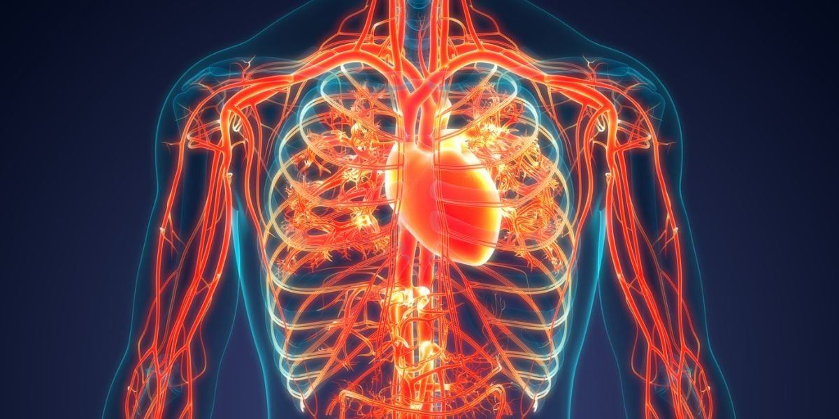 johnnyxbrown's tweet image. 40% of young Americans are insulin-resistant.

It lays the foundation for diabetes, heart disease, stroke, and cancer.

Here are 8 steps to improve insulin resistance: