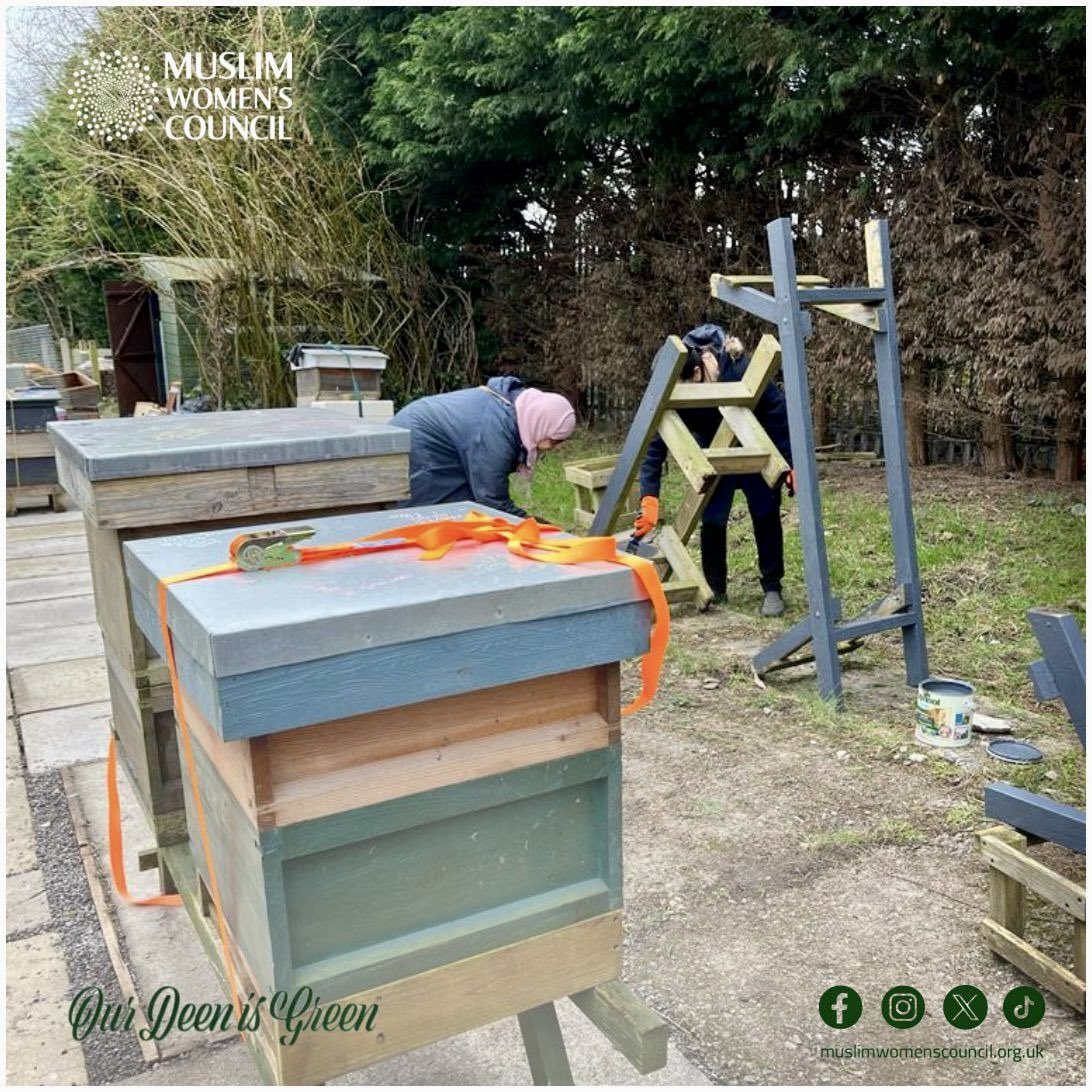 MWC_Bradford's tweet image. Getting the hives ready for our bees! 🐝 🍯

#OurDeenIsGreen #Beekeeping #BeekeepingLife #Beekeepers #BeekeepersLife