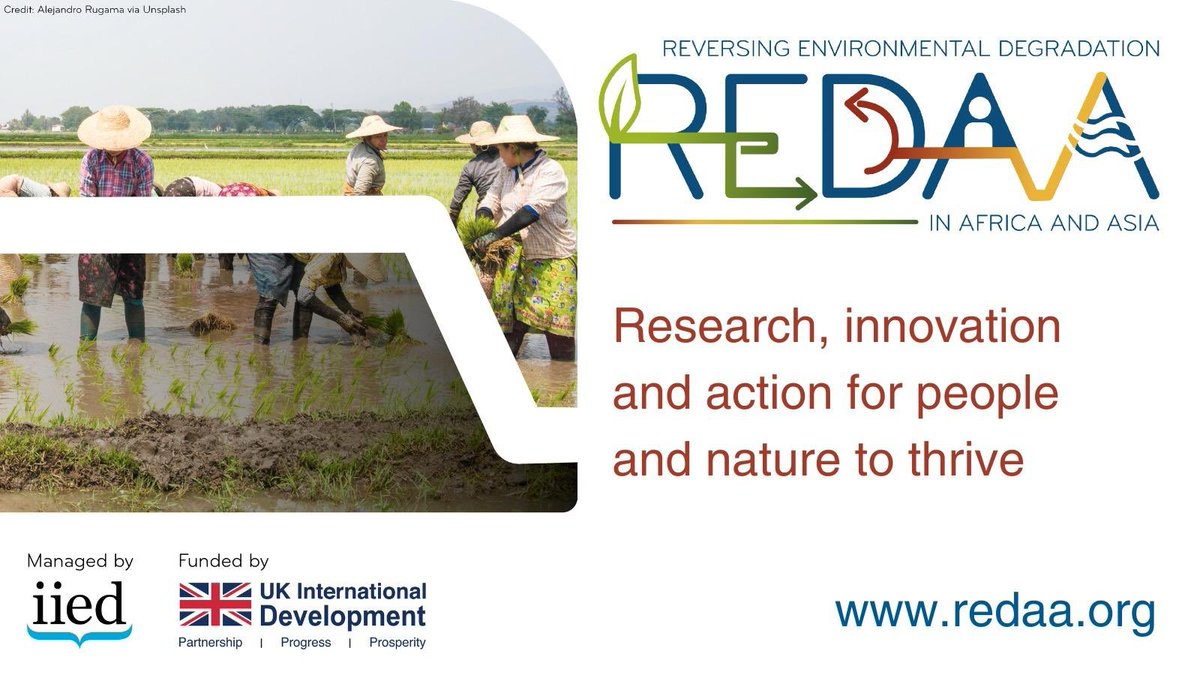 Delighted to announce @REDAAprogramme’s inaugural grantees, supported by @FCDOGovUK. 21 locally-led projects across Africa and Asia will restore environments, helping people and nature thrive in a changing climate. For more on these inspiring projects: redaa.org/grantees