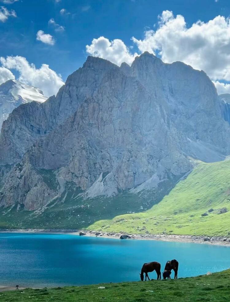 Don't be afraid to fail, it's just an attempt on your way to success.🌹
#natural #NaturalBeauty #natural