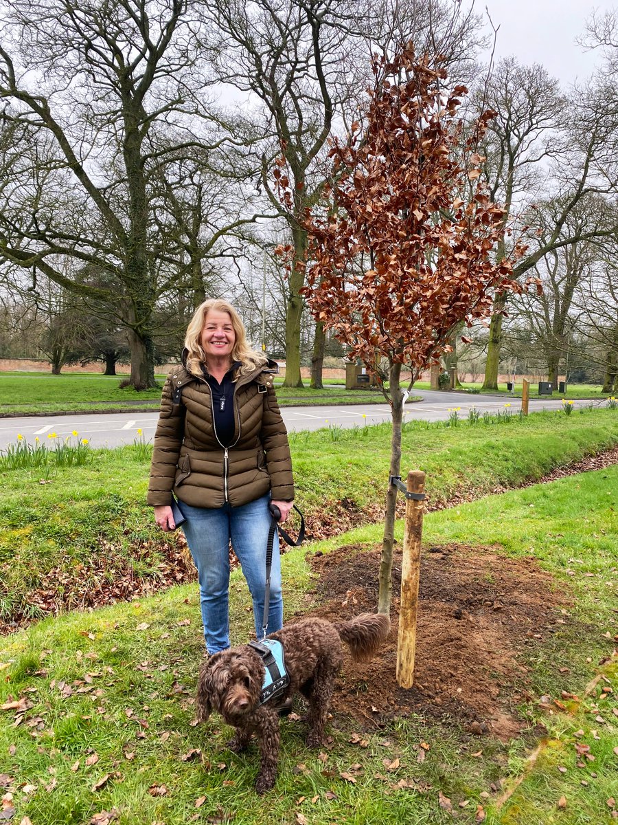 Planted more Beech trees on Market Bosworth Country Park yesterday. I can't wait to see how these beauties mature over the years.