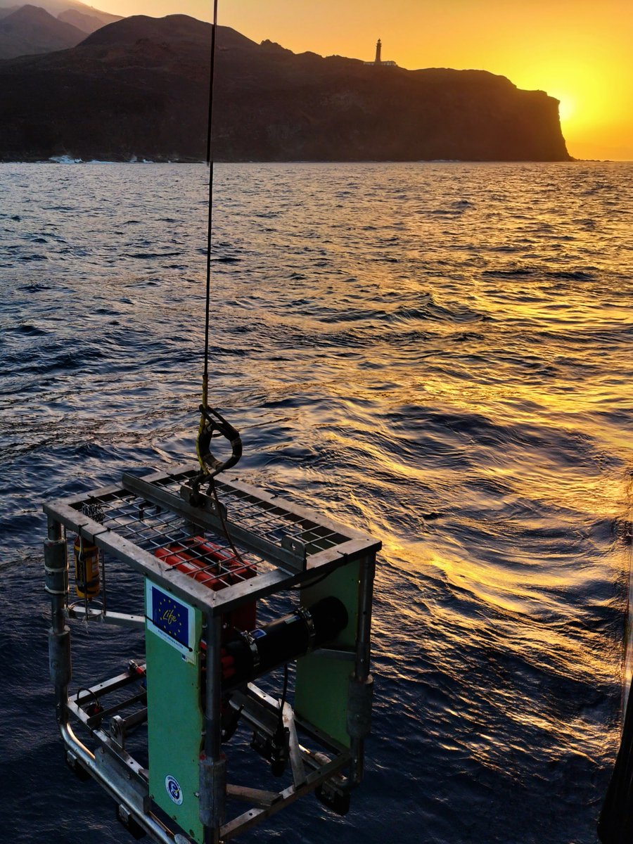 Un equipo científico del #IEO estudia los fondos del Mar de Las Calmas en El Hierro 

🔗 tinyurl.com/ypfnuzcp

#OAPN #PlandeRecuperación #NextGenerationEU