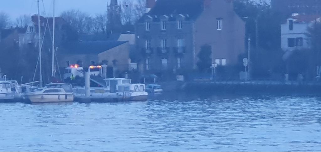 camus Harold tweet media