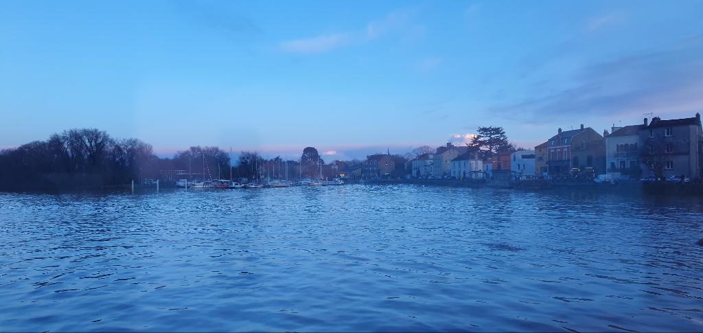 camus Harold tweet media