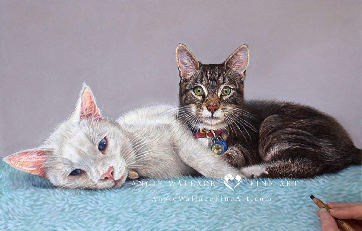 Meet gorgeous George and Bailey. George (white cat) is the King of the Street!Nobody dares to mess with him, not even any dogs! Bailey on the other hand is a quiet little cat,always looking for a cuddle. Pastels and Pastelmat #tabbycat #catportrait #petportrait #pastelportrait