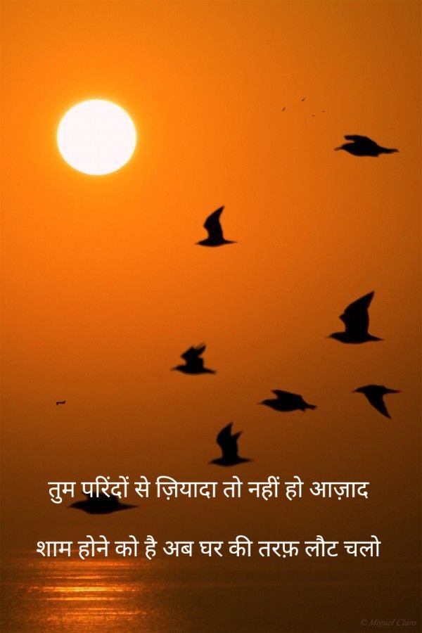 'तुम परिंदों से ज़ियादा तो नहीं हो आज़ाद 
शाम होने को है अब घर की तरफ़ लौट चलो'
-इरफ़ान सिद्दीक़ी
#GoodEveningfriends 🌤