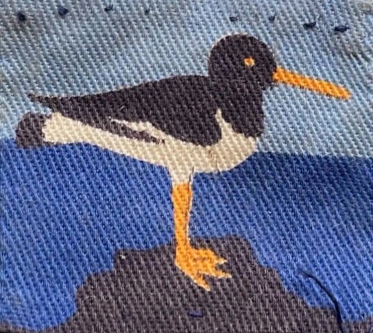 On Grækarismessa (St Gregory's Day), they say the oystercatchers return to nest in Faroes. This piping minstrel is adopted as the national bird & was used as insignia by the Lovat Scouts in Faroes during WW2. #faroes #faroeislands #iwm #birds