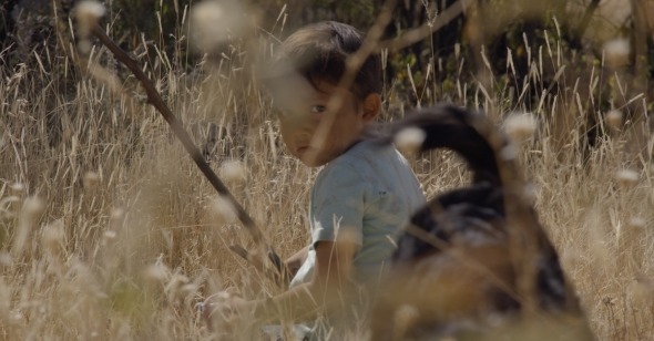 reverse_shot's tweet photo. SUJO, the superb latest from Fernanda Valadez & Astrid Rondero, directors of the remarkable IDENTIFYING FEATURES, opens #FirstLook2024 tomorrow night @MovingImageNYC.
Do not miss. Reviewed by @csaquinlan:
https://t.co/F8a8E0TMLe https://t.co/zgeU3mLvPt