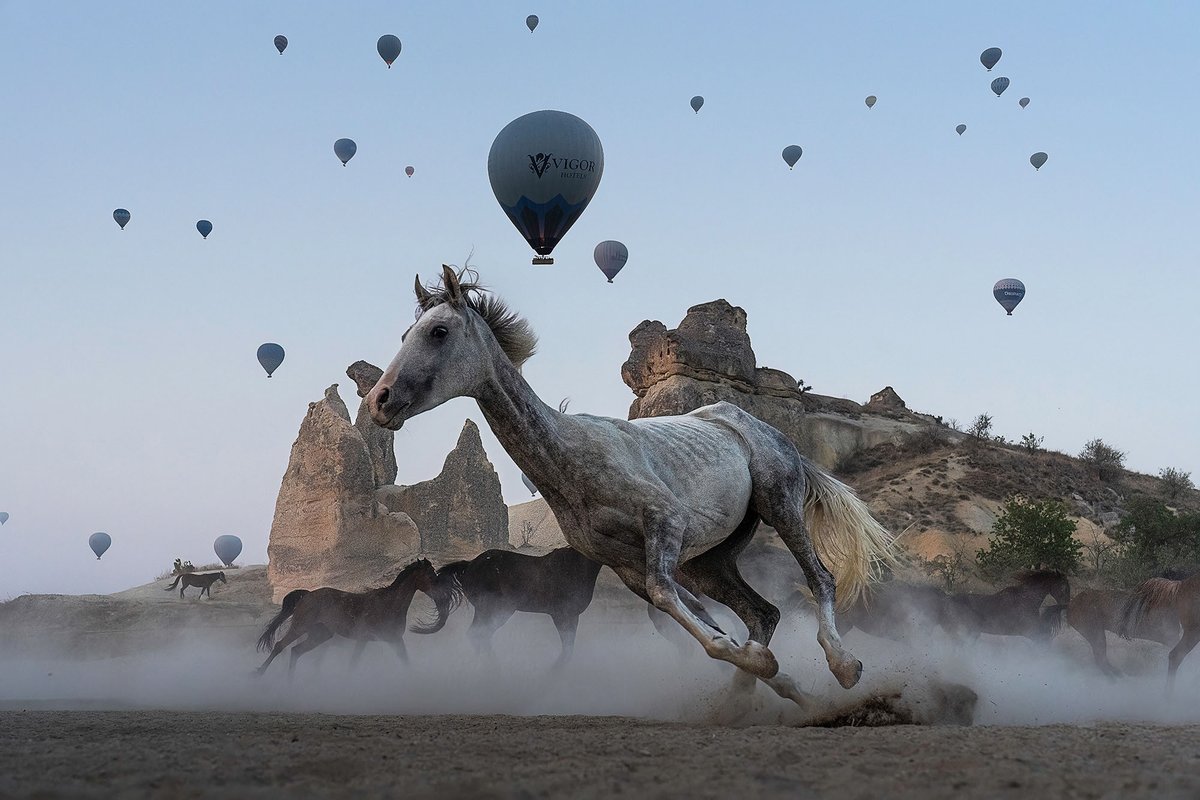 TheAtlPhoto's tweet photo. Winners of the 2024 Sony World Photography Awards Open Competition - 21 of this year's incredible winning and shortlisted photos, from a total of 10 categories.  https://t.co/jiiLSvXv6J https://t.co/fBOI5x586X
