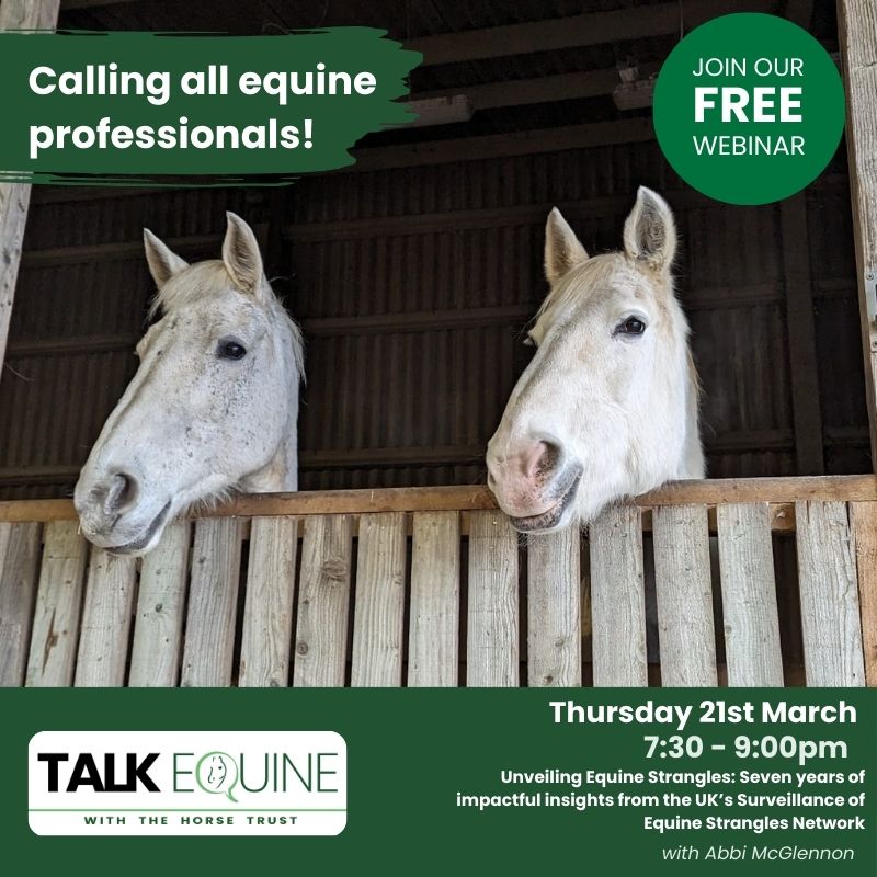 Abbi McGlennon - Unveiling Equine Strangles: Seven years of impactful insights from the UK’s Surveillance of Equine Strangles Network. How can we contribute towards mitigating the impact of strangles amongst horse populations? Full details at FREE signup
us02web.zoom.us/webinar/regist…