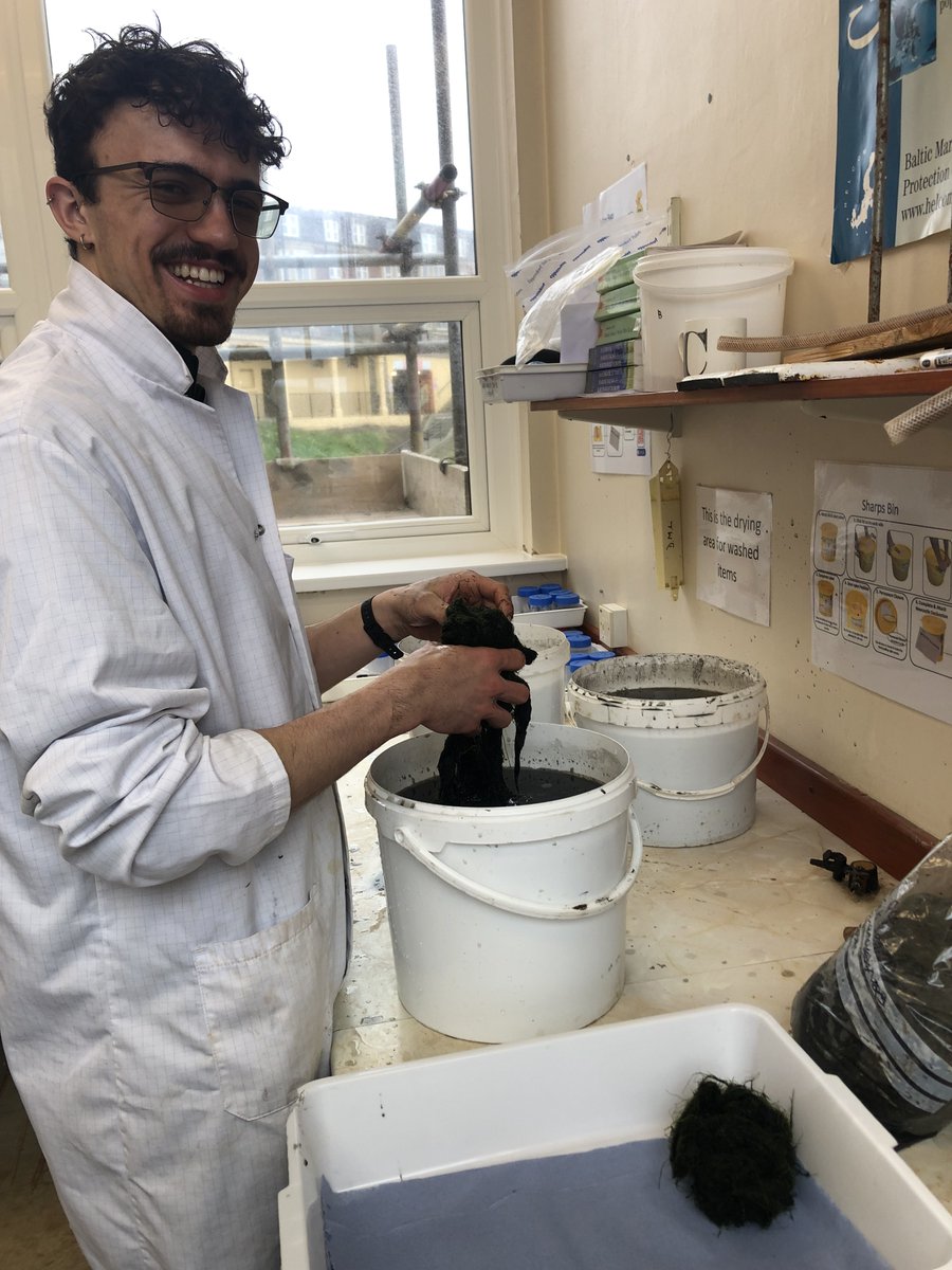 A great mix of old and new faces on our hunt for opportunistic #macroalgae in Budle Bay this month🌱🐚🌊followed by some very muddy and rather stinky sample processing 🔬🧪🐚 @LifeWader @NCLDoveMarine @newcastlemarine @ecology_ncl @Hes_1 @Charj98 @GrockeSIBL @Hazel__Natanael