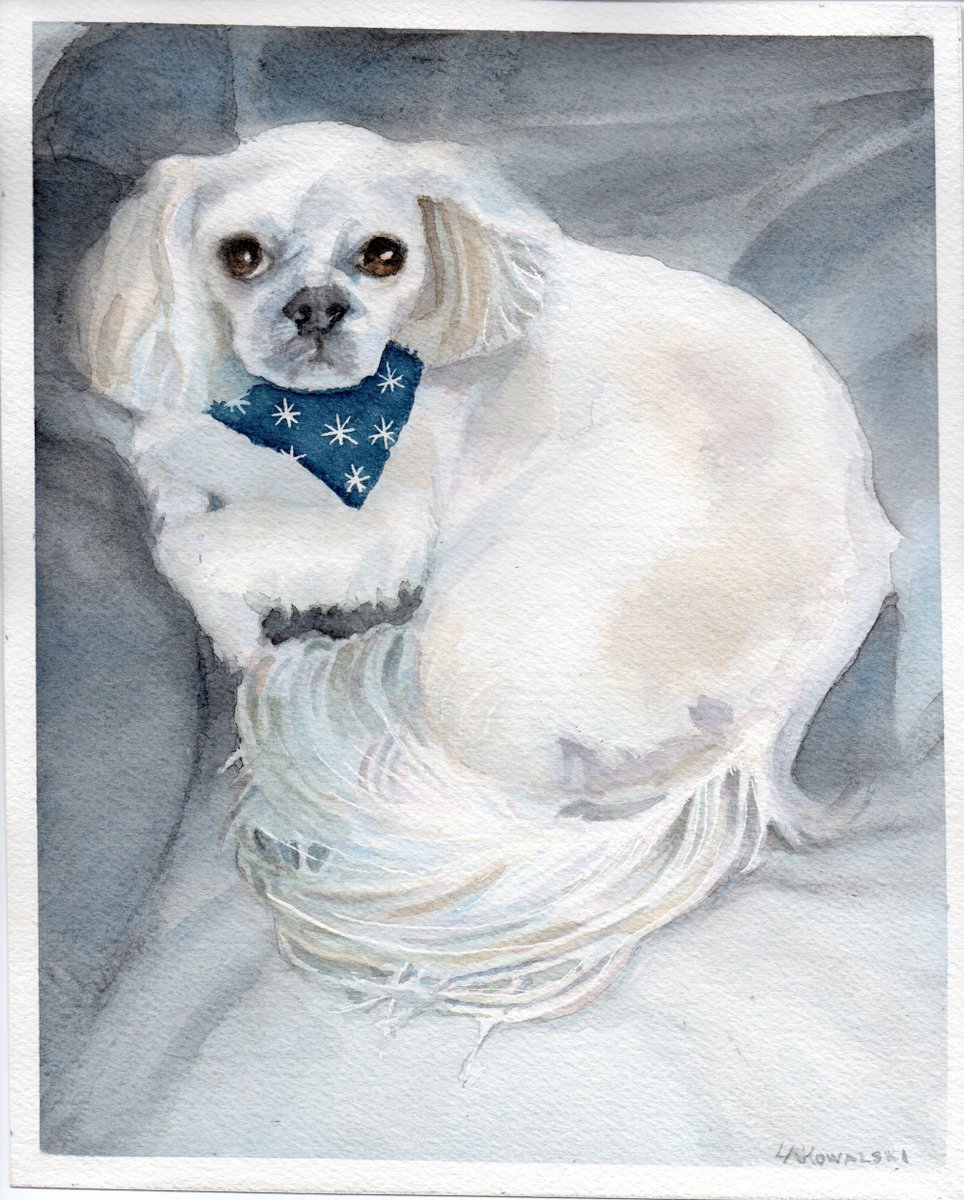Custom Pet Portrait of your own sweet fur ball done in Watercolor.  #etsy Artist

#smilett23 #shopsmall #supportsmallbusiness #gifts #wallart #HomeDecorIdeas #animallovers #dogmom #catlady #watercolorpainting #petportrait #animallovers #cats #K9 #feline

sycamorewoodstudio.etsy.com/listing/578186…