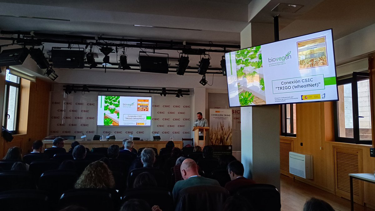 biovegen's tweet photo. Explicamos en el kick-off day de la #ConexiónTrigo #WheatNet cómo vamos a participar en el proyecto | @TrigoHubCSIC https://t.co/1AOz3DA2sv