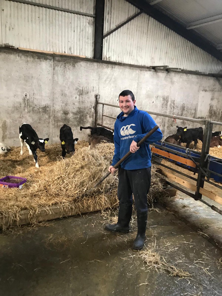 The three lads from @WesternCareMayo are enjoying their time on Social Farmers Michael & Ita's farm! On this day, they got stuck into feeding the cows & calves & tidying up the sheds to ensure they are cosy and comfortable for the animals! #connectingpeople #newoppertunity