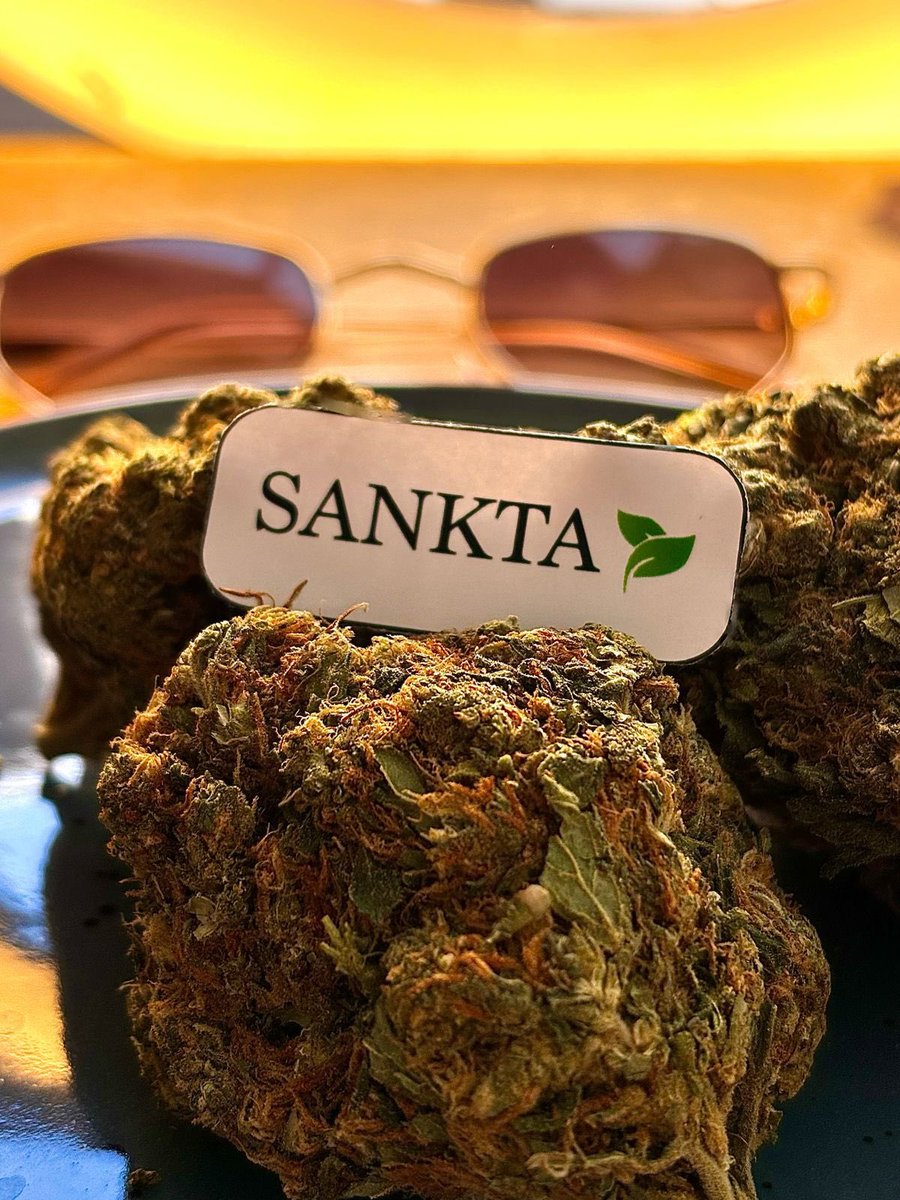 Sankta tweet media