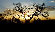 jornalhojeemdia's tweet photo. Apib pede inclusão de mais biomas brasileiros em regulação europeia
https://t.co/l3cGO5twzq
#geral #brasil #apib #biomasbrasileiros #meioambiente #regulaçãoeuropeia #jornalhojeemdia https://t.co/JfNTlMDQYx