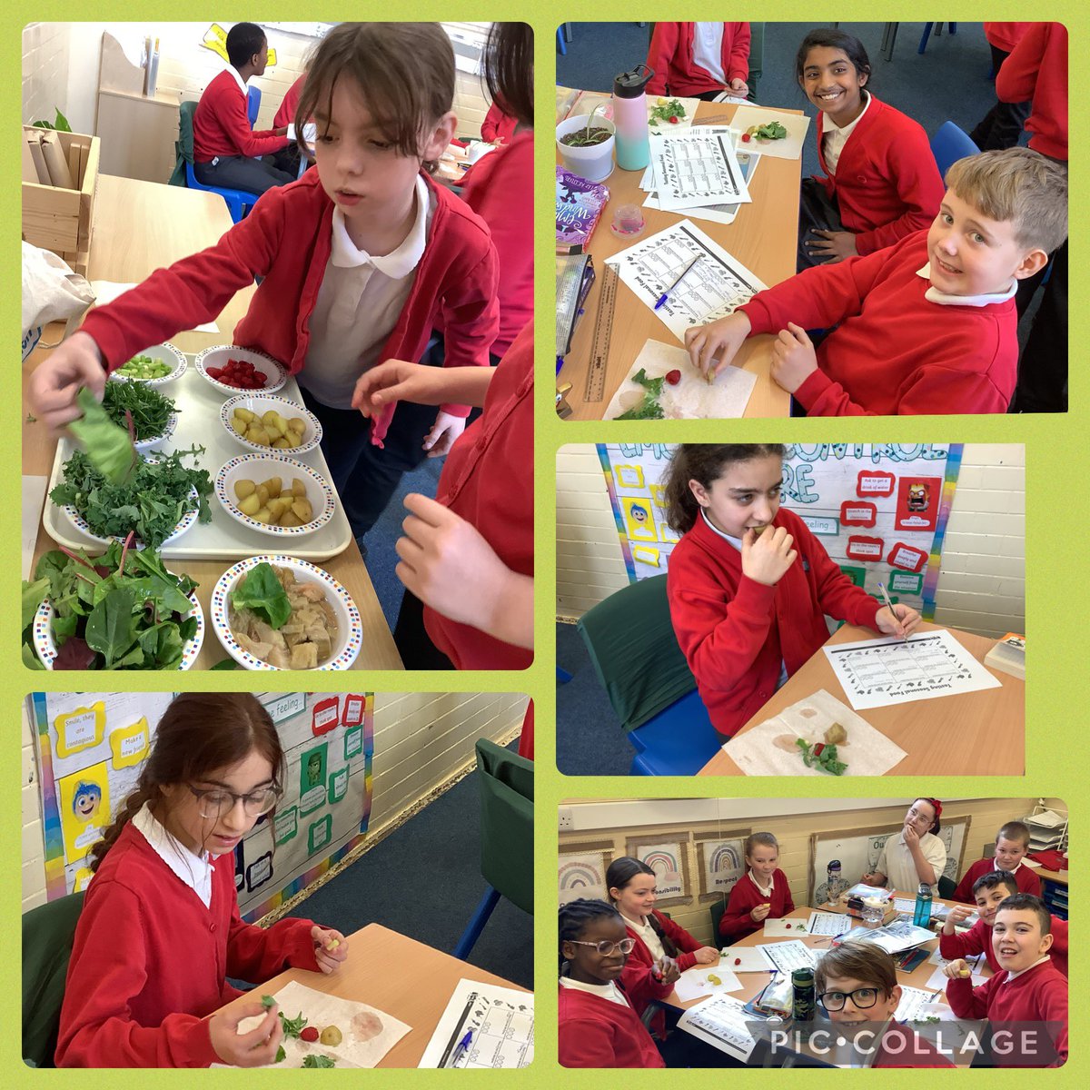 FPMrsMcMillan's tweet photo. Tasting seasonal food in DT. The raspberries were the favourite! @FallaParkSchool @Mrs_Crellin https://t.co/dI5r0R1qM4