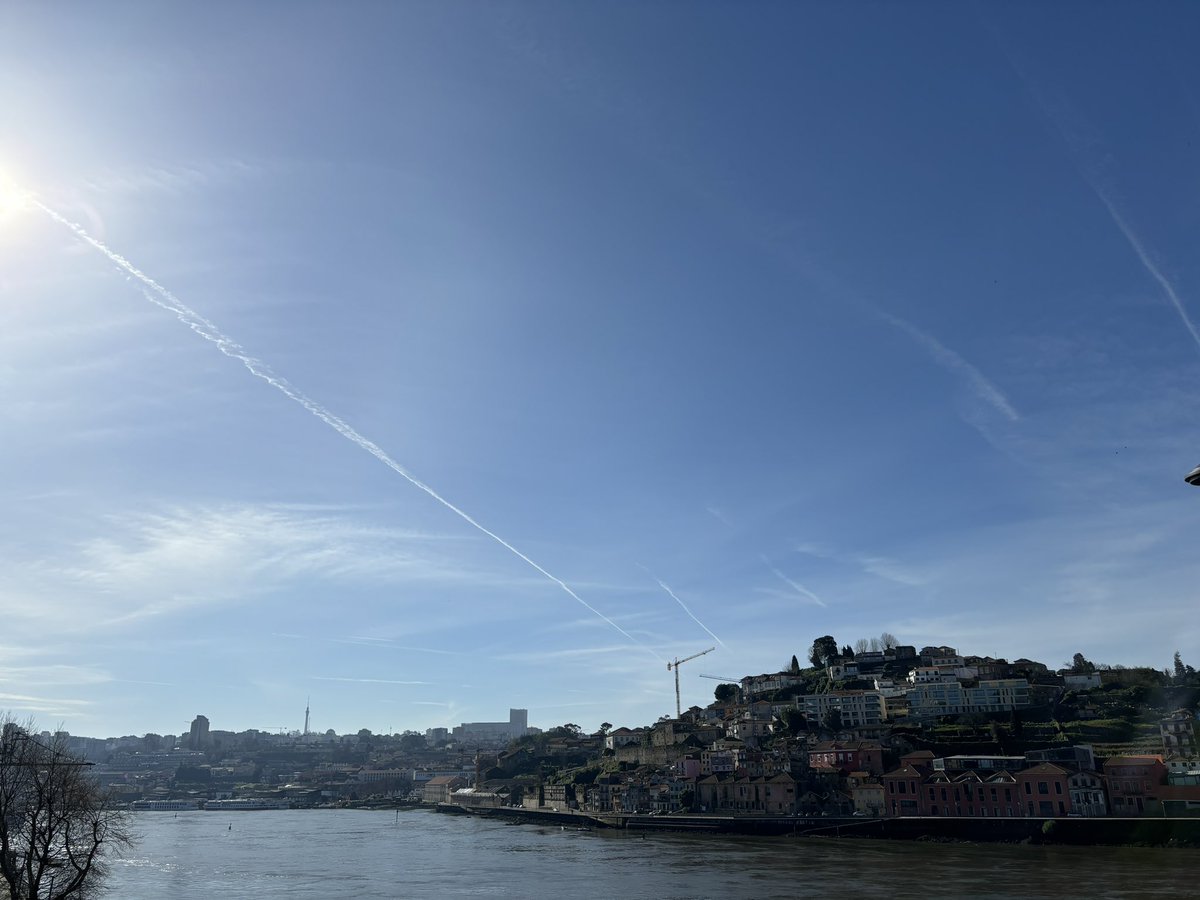 Katrien Vandoorne tweet media