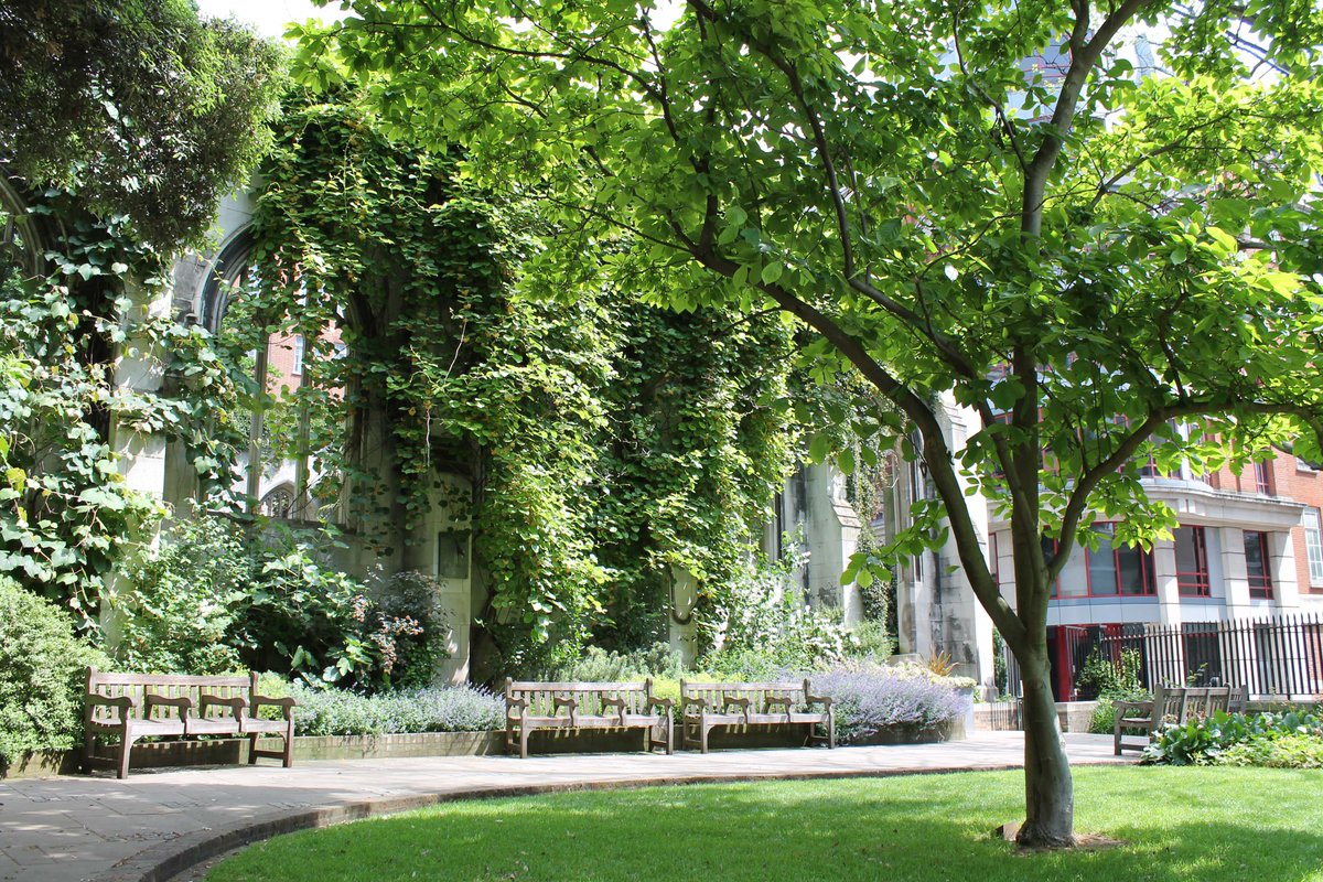 cityoflondon's tweet image. The Church garden of St Dunstan-in-the East is just one of 180+ green spaces we manage in the #SquareMile. Listen to Caroline Haines, Chair of our Natural Environment Board, talk to @BBCRadioLondon about this special outdoor space &amp;amp; its history loom.ly/DGB5fvs @BBCSounds