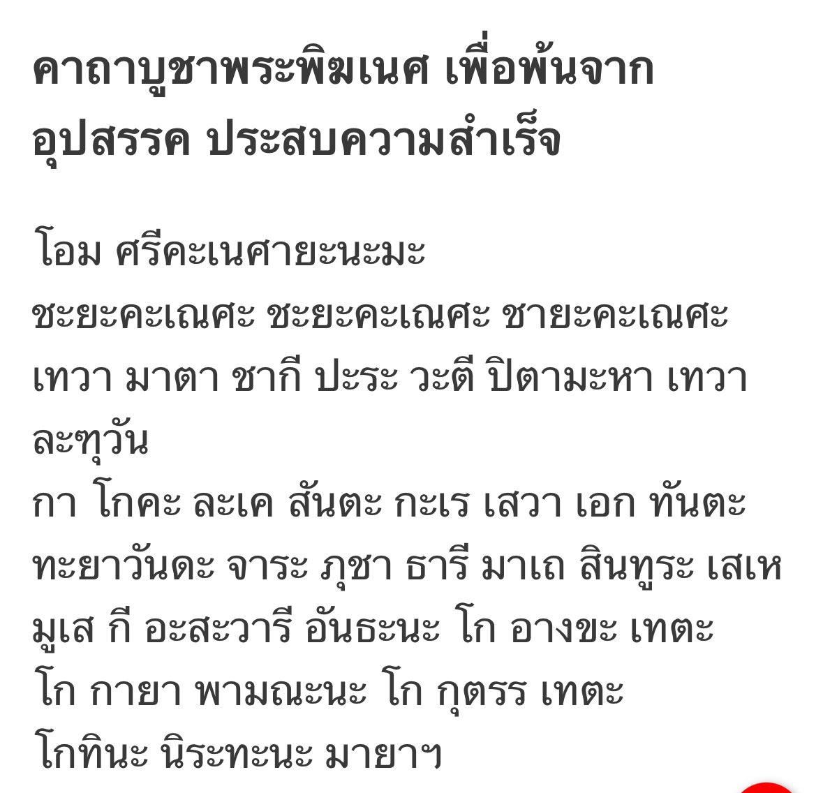 หมูน้อยหน้าปากทาง♡ tweet media