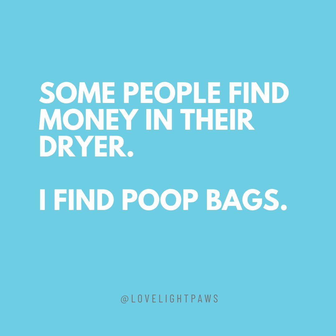 lovelightpaws's tweet image. So true 😭🫠

#doghumor #dogparentproblems #funnydogquotes