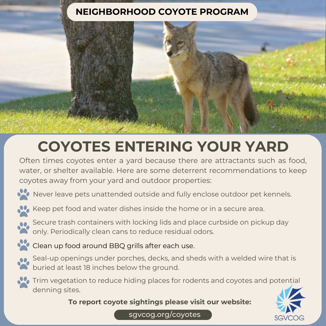 SGVCOGCoyotes's tweet photo. Coyotes often frequent areas because there is some type of food source present. It is important to be aware of common attractants to keep coyotes away from your yards. #coyotesafety https://t.co/1QhXCUNfQJ