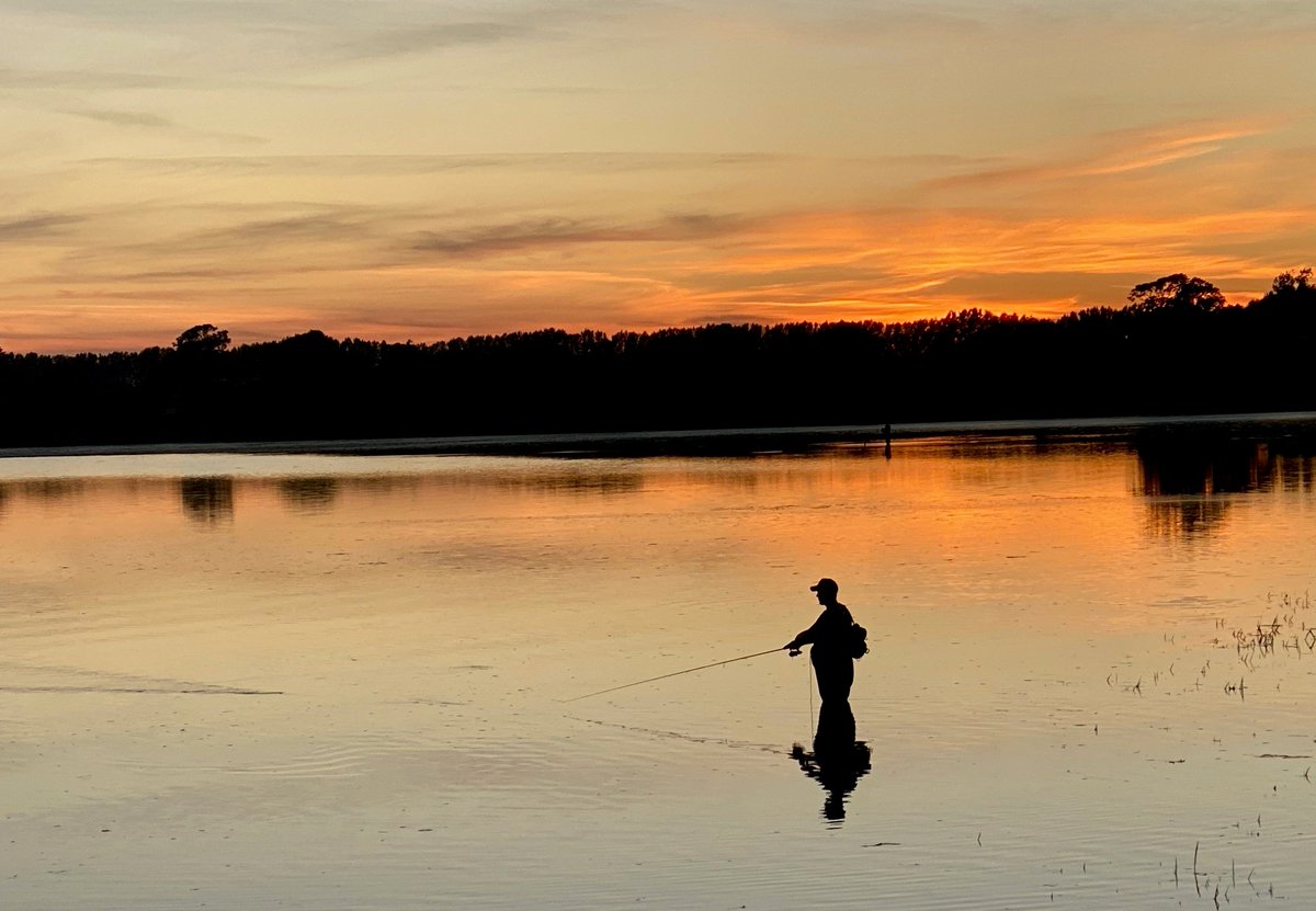 🐟Sea Bass Fishing 🐟 Until the end of March, all Sea Bass must be returned to the water, regardless of size. Why? Chichester Harbour is an important nursery for Sea Bass - the regulations ensure stocks remain viable, and fish can reach full maturity, which can take up to 7 yrs