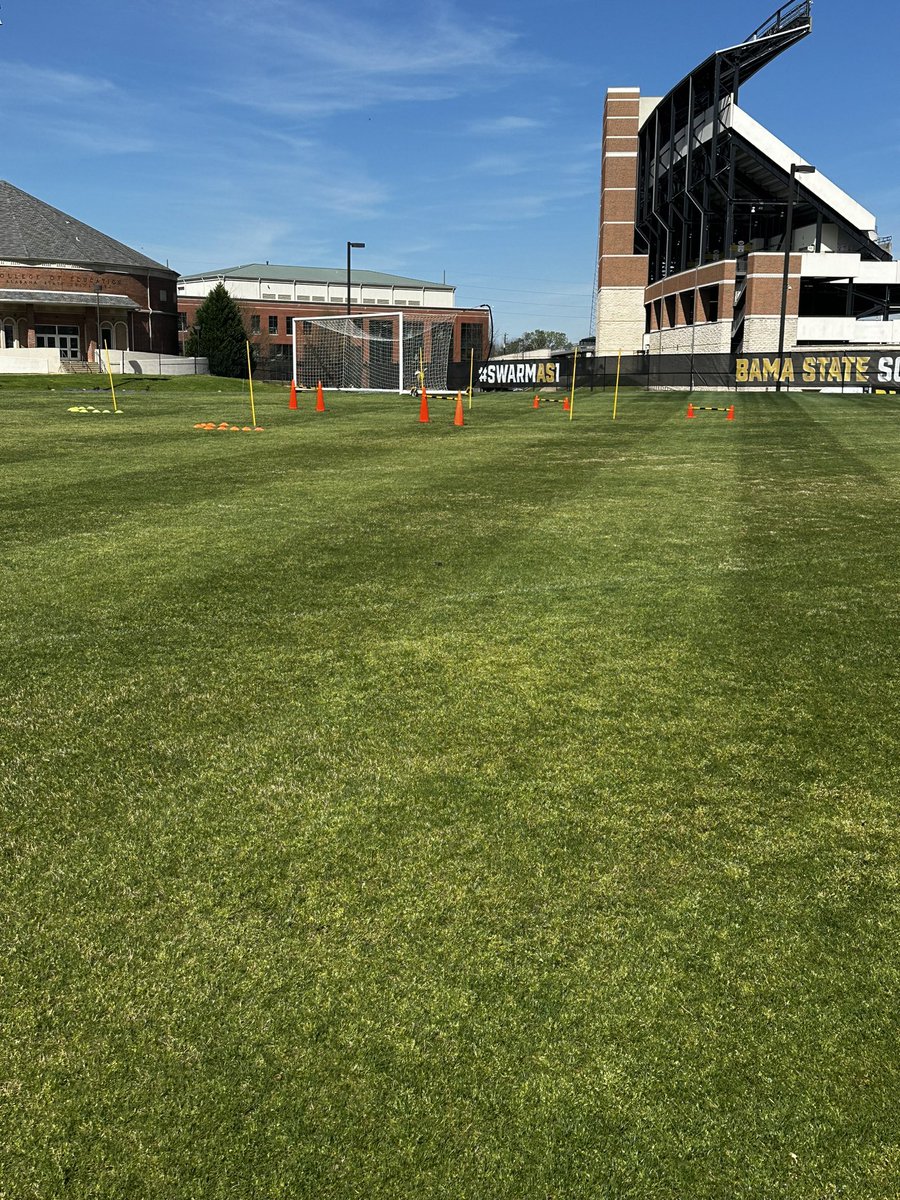 Becca Borg tweet media