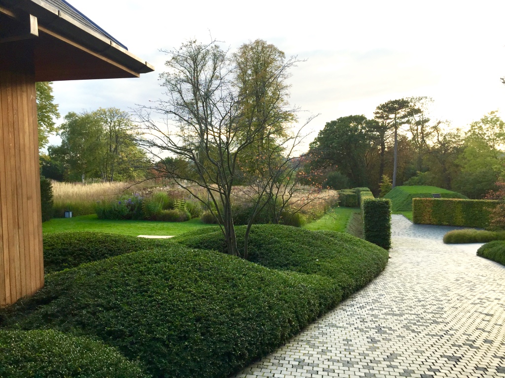 Lonicera nitida is a remarkably malleable material for striking sculptural effect. Perfect for clipping into low hedges around borders and along paths, seen here at the Totteridge project. 

#hedgetrimming #alasterandersongardens #londongardendesign #gardenmaintenance