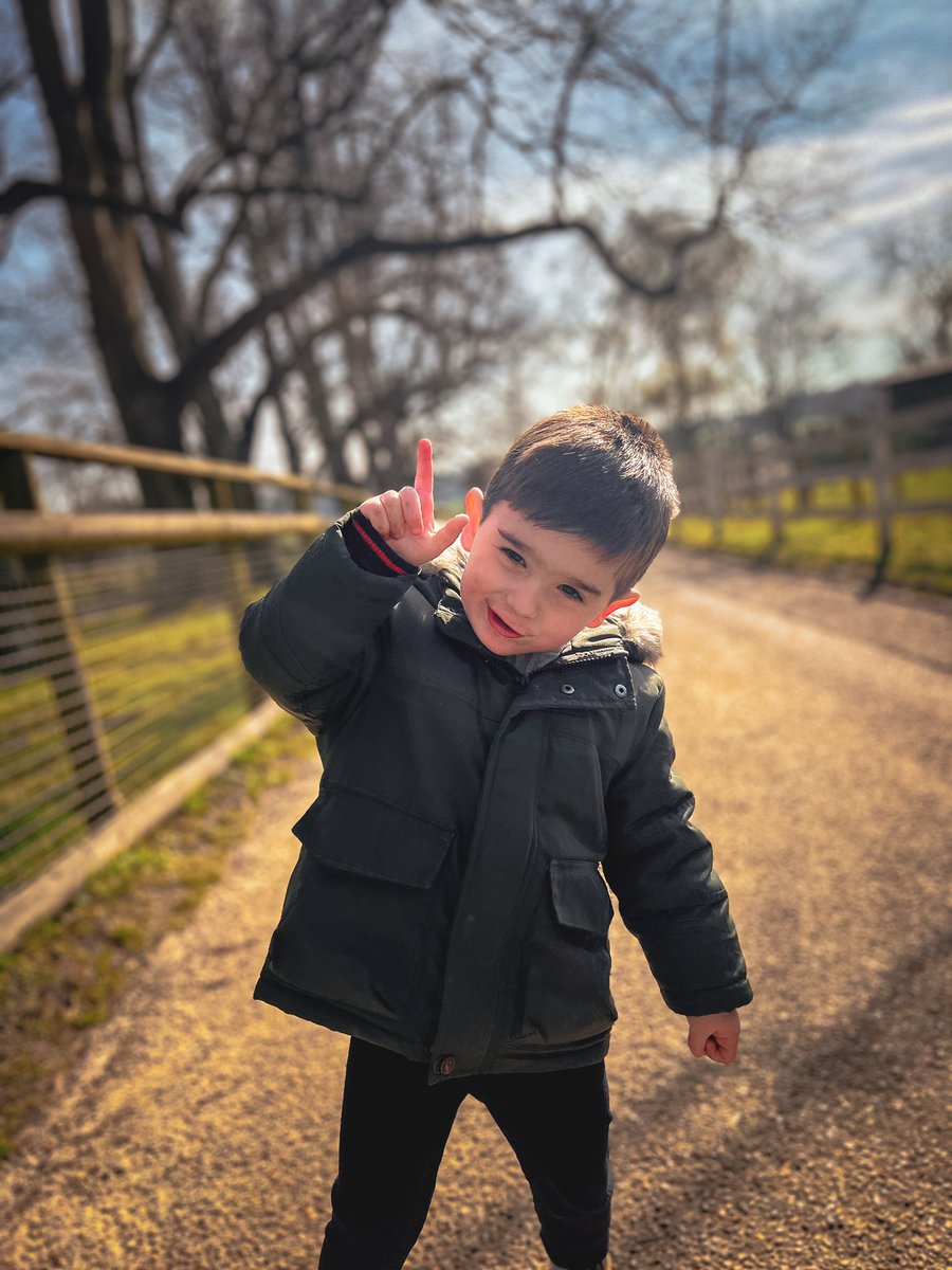 Fun time at the zoo for Mother’s Day 🐘 

-

#zoolove #toddlerfun #familyouting #zooexperience #wildlifeadventure #toddlerlife #familytime #animalpark #zoo #family #toddler #familylove 

@howlettspark