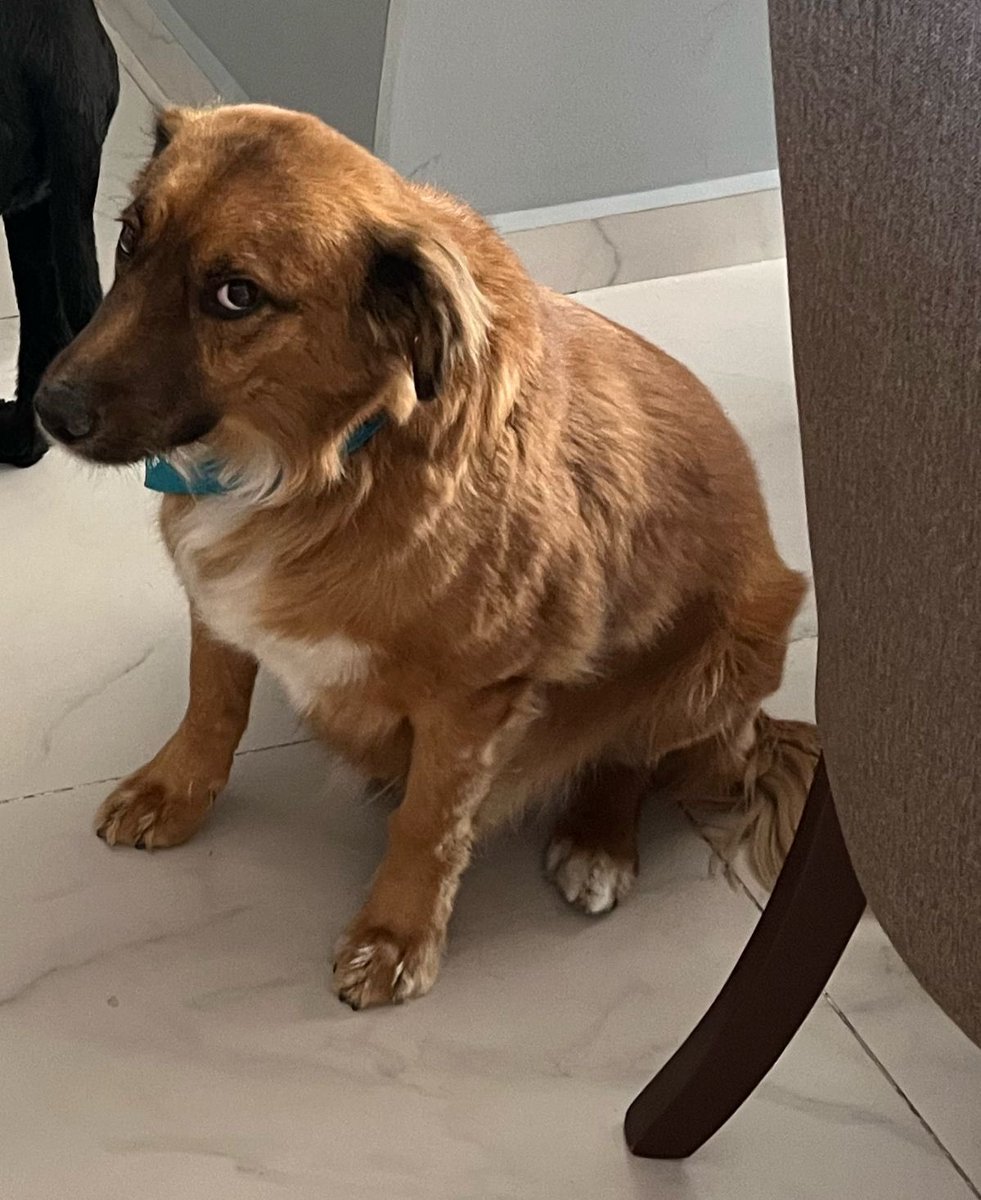 Gm Mfers, remember to not buy the dip. #mfer #nft