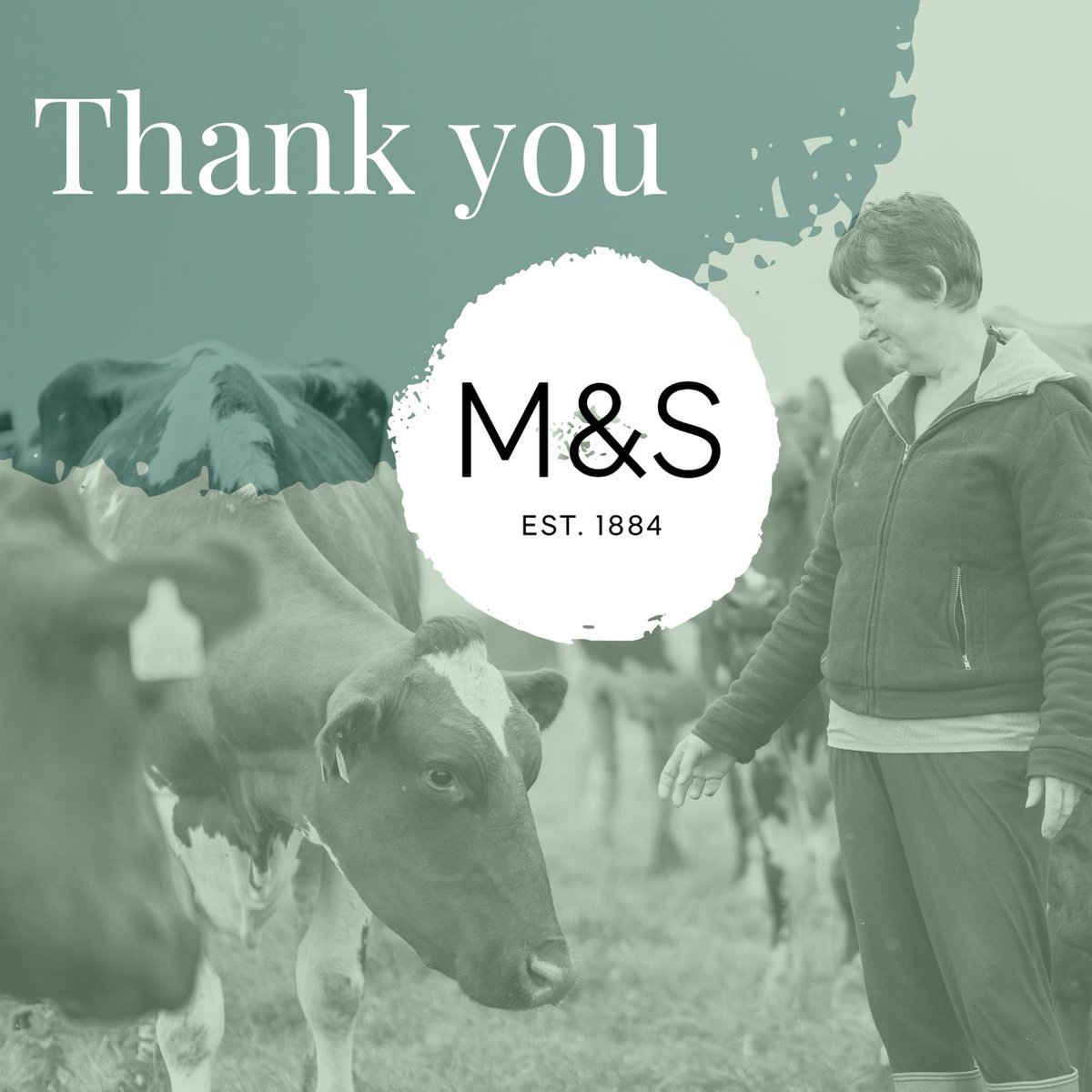 We’re incredibly grateful for @marksandspencer’s generous donation to the charity. For nine years, their support has enabled us to support family farms and rural communities across the UK. Learn more about our corporate partners and donors here:royalcountrysidefund.org.uk/support-us/our…
