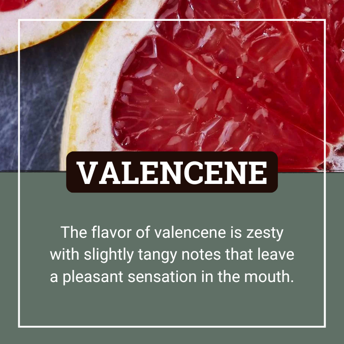 It's Terp Tuesday! Discussing valencene, a rare terpene in cannabis with sweet orange scent & antioxidant properties. Boosts mood, alertness & cognition. #terptuesday #knowyourstuff 21+ ONLY, educational content.